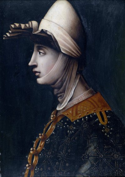 Portrait de La comtesse Mathilde de Toscane, dite de Canossa (Mathilde de Briey) (1046-1115) (Matilde di Toscana) (Matilde di Canossa) - Matilda of Tuscany par Anonymous, 16世紀中頃 - 石に油彩, 49,5x36 - Private Collection 作： Italian School