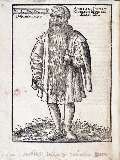 Adrianus Petit Coclico（1500-1562）の肖像ルネサンスのオランダの作曲家。 作： Italian School