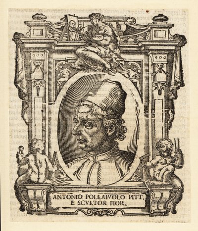 アントニオ・デル・ポライオーロの肖像（ルネサンス期のイタリアの画家、彫刻家、彫金家、金細工師、フィレンツェ出身、1429-1498年頃 作： Italian School