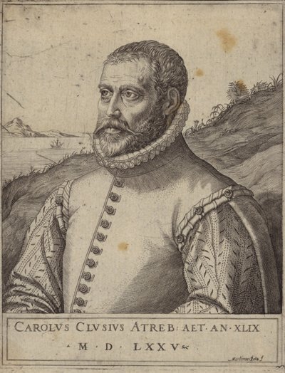 Carolus Clusiusの肖像 作： Italian School