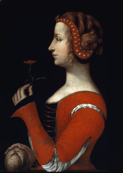 ノヴェス（1308-1348）によるロール（ローラ）の肖像、ペトラルカ（フランチェスコ・ペトラルカ）のエイミー女 16世紀のイタリア派の絵画。ロンドン、ヴィクトリア・アンド・アルバート博物館 作： Italian School