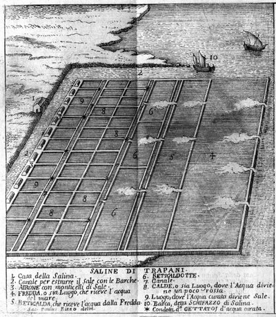 トラーパニの塩湿地。図版はArcangelo Leanti著「Stato Presente della Sicilia」（パレルモ、1761年）から引用。 作： Italian School