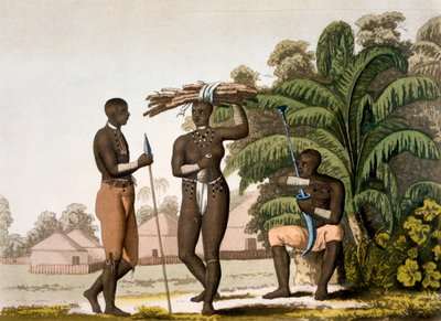 サウスイーストコースト：カフェル国家、1820年代から30年代 作： Italian School