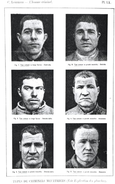犯罪者の標本、チェザーレロンブロソによるLHomme Criminel（1835-1909）、Felix Alcan、1887年発行 作： Italian School