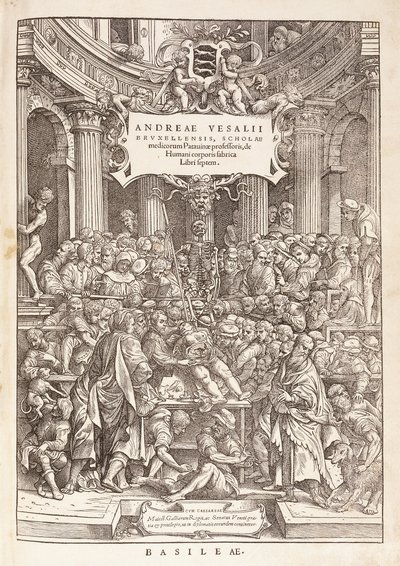 外科劇場で解剖学的解剖を行う著者、1543年 作： Italian School