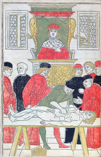 解剖、Johannes de Ketham（d.c.1490）による「Fasciculus Medicinae」のイラスト（1493年）（木版画） 作： Italian School