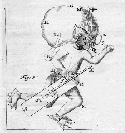 スカッフアンドレ - ジョヴァンニ・アルフォンソ・ボレッリ（1608-1679）の「動物の欲求」より 作： Italian School