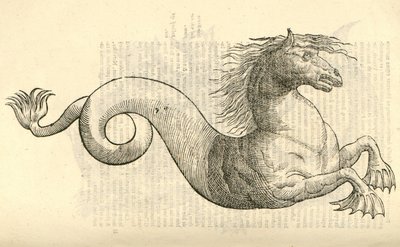 モンスターの歴史、1642年からEquus marinus monstrosusのイラスト 作： Italian School