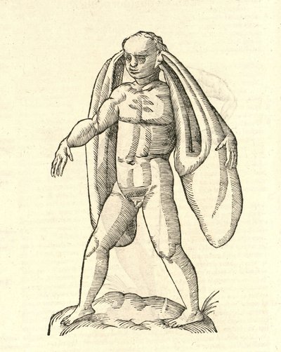 Aldrovandisモンスターの歴史、1642年からホモ・ファネシウスauritusのイラスト 作： Italian School