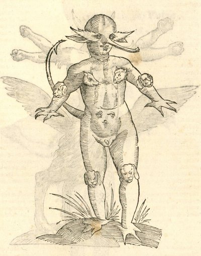 カザコバエモンスターの歴史、1642年の動物の幼児イラスト 作： Italian School