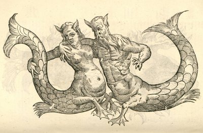 Aldrovandis Monsters of Monsters、1642年からのMonstra Niliaca Pareiのイラスト 作： Italian School