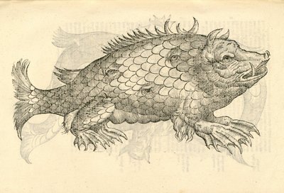 Aldrovandisモンスターの歴史、1642年からMonstrosus Sur marinusのイラスト 作： Italian School
