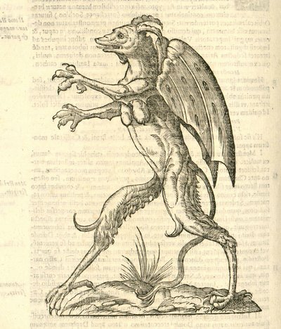 カザコバエモンスターの歴史、1642年からの悪魔のような翼と角を持つモンスターのイラスト 作： Italian School