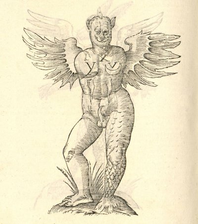 別のカザコバエモンスターの歴史、1642年からのモンスターの角と翼のイラスト 作： Italian School