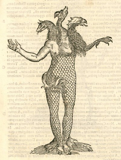 モンスターの歴史、1642年からの3頭のモンスターフォックスドラゴンとアクイラのイラスト 作： Italian School