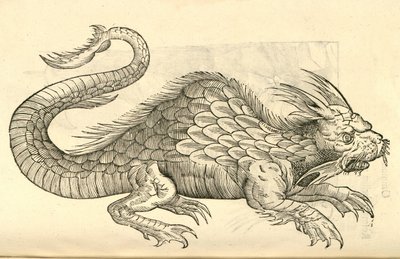 Aldrovandisモンスターの歴史、1642年からOrobonis Piscisの彫像のイラスト 作： Italian School