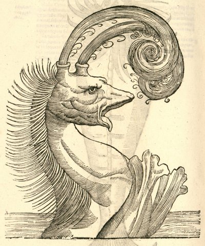 アルドロヴァンディスモンスターの歴史、1642年からPseudophyseterのイラスト 作： Italian School