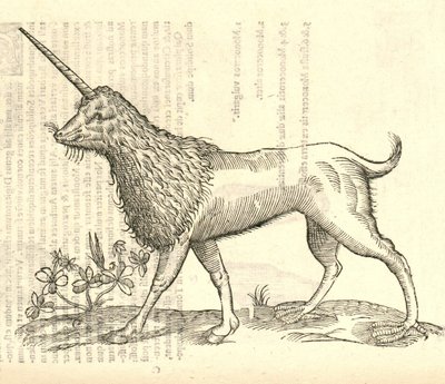 Aldrovandisモンスターの歴史、1642年からのCamphurchのイラスト 作： Italian School