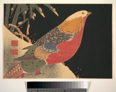 雪の中の金色の雉 1900年頃 （木版画、墨・彩色、紙） 作： 伊藤若chu