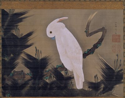 松の枝に白いオウム 作： Ito Jakuchu