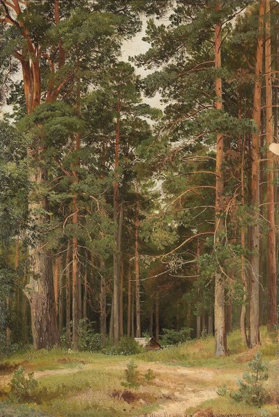 夏の日、メリキウル、1895 作： Ivan Ivanovich Shishkin