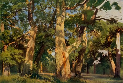 イーブンタイドのオークの木、1887年、1965年。 作： Ivan Ivanovich Shishkin