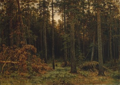 パインウッド、1885 作： Ivan Ivanovich Shishkin