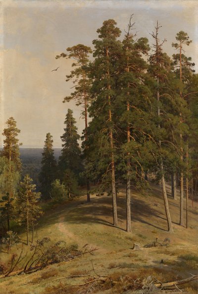 松の森、1895 作： Ivan Ivanovich Shishkin