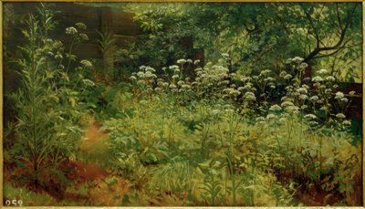 ジャーシュ。パルゴロヴォ 作： Ivan Ivanovich Shishkin