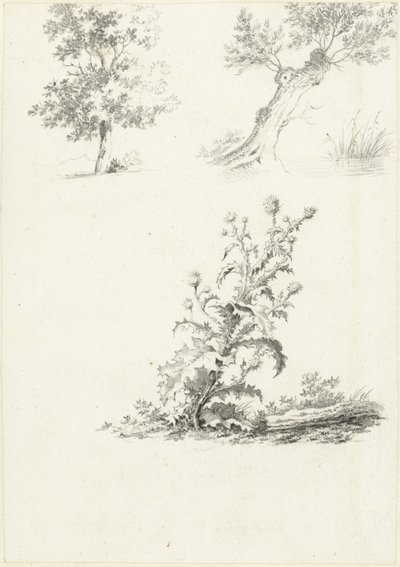 木とアザミの 2 つの習作 作： J.B. Joss (attributed to)