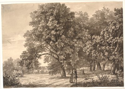 ソロ、ジーランド近くの森の中の道の眺め 作： Johan Christian Dahl