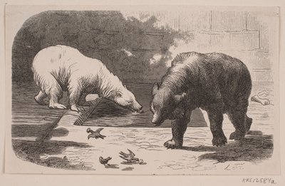 植物園のクマ 作： J.C. Nielsen