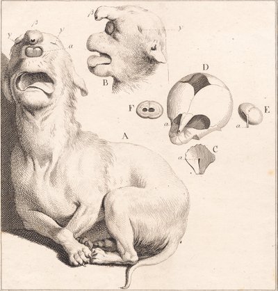 子犬のろくでなし 作： J.F. Clemens