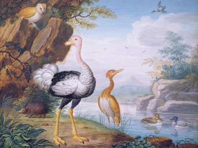 エキゾチックな鳥と川のほとりのフクロウ（ボディカラー） 作： J.F. Hefele