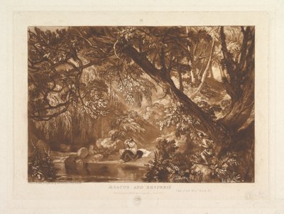 Aesacus and Hesperie, Vide Ovid Metamorphosis, Book XI Liber Studiorum, part X..., 1819年1月1日。 作： Joseph Mallord William Turner