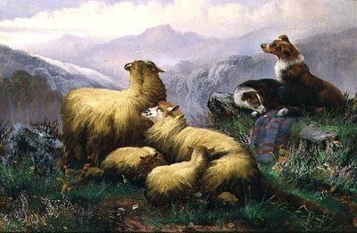 スコットランド・ハイランド地方の牧羊犬と羊 作： J.W. Morris