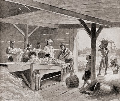 アメリカ合衆国南部のプランテーションで19世紀の綿繰り機で働く奴隷たち（1905年発行の「The History of Our Country」より）（リトグラフ版 作： J. (after) Steeple Davis