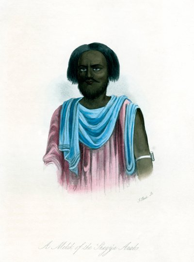 シェイジアアラブ人のメリク、c1840。 作： J. Bull