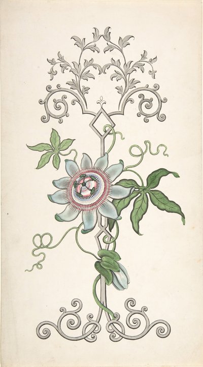 パッションフラワーを中心としたパネル装飾のデザイン、1828-40。 作： J Hulme