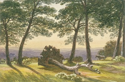 ハムステッドヒース、ロンドン、c1830 作： J Powell