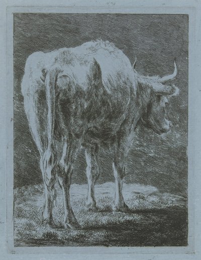 風景の中の牛 作： Jabes Heenck