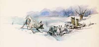 オオカミの群れ、ジャック・ロンドン (1876-1916) の冒険小説、Call of Wild の絵 作： Jack London