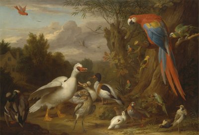 風景の中のコンゴウインコ、アヒル、オウム、その他の鳥 作： Jacob Bogdani