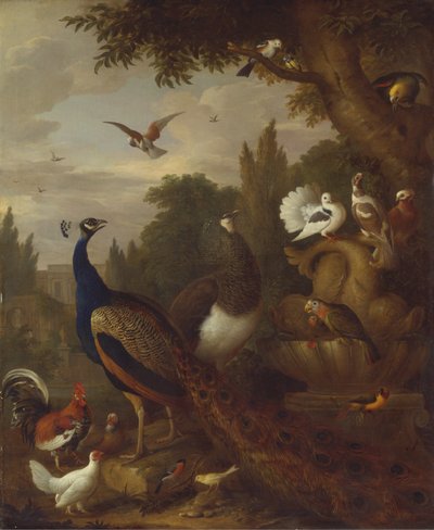 孔雀、peahen、オウム、カナリア、公園内の他の鳥 作： Jacob Bogdani