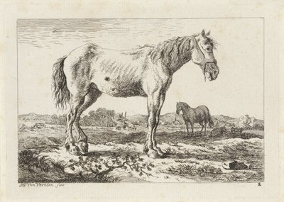 風景の中で立っている馬 さまざまな巨匠によるドローイングによる6つの版画（シリーズタイトル） 作： Jacob Elias van Varelen