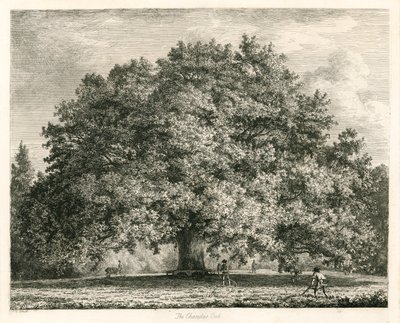 The Chandos Oak、Michendon House、サウスゲート、ロンドン 作： Jacob George Strutt