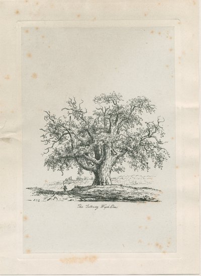 タットベリー-「ウィッチエルム」：彫刻、nd [c 1820] 作： Jacob George Strutt