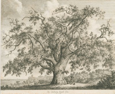 タットベリー-「ウィッチエルム」：エッチング、ND [c 1820] 作： Jacob George Strutt