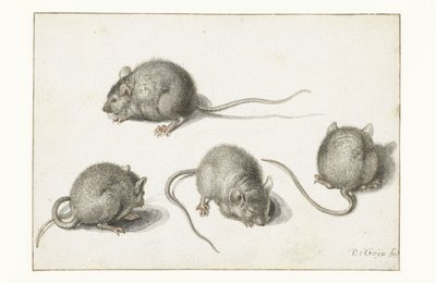 病気のマウスに関する4つの研究 作： Jacob II de Gheyn