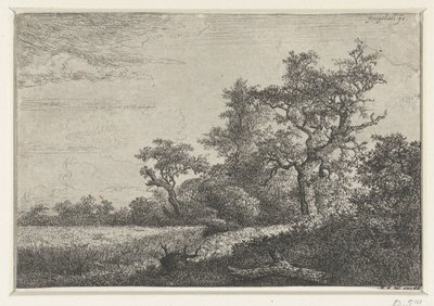 とうもろこし畑 作： Jacob van Ruisdael